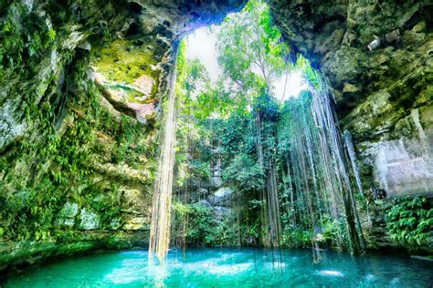 Dive into Wonder: Snorkeling in Mexico's Captivating Cenotes and Paradise Lagoons